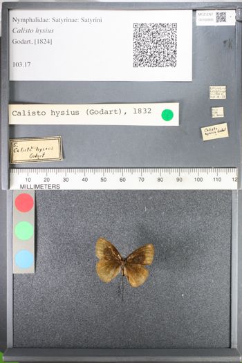 Media type: image;   Entomology 102600